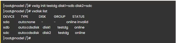 Testdg Disk Group